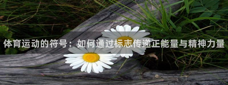 yy易游官方正版app集团官网首页：体育运动的符号：