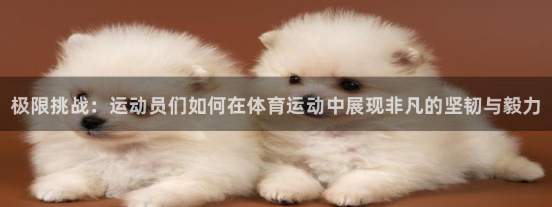 yy易游官网下载招商电话号码是多少号：极限挑战：运动