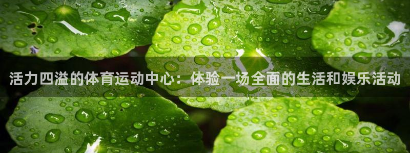 yy易游官方正版app娱乐首页网站大全：活力四溢的体