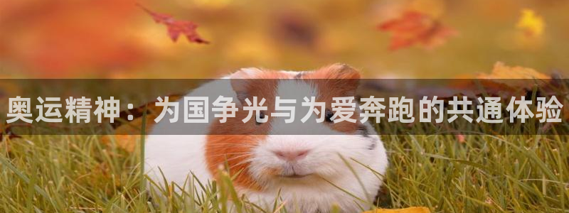 yy易游官方正版app神州：奥运精神：为国争光与为爱