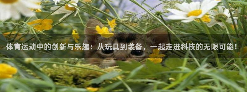 yy易游官方正版app五金厂：体育运动中的创新与乐趣