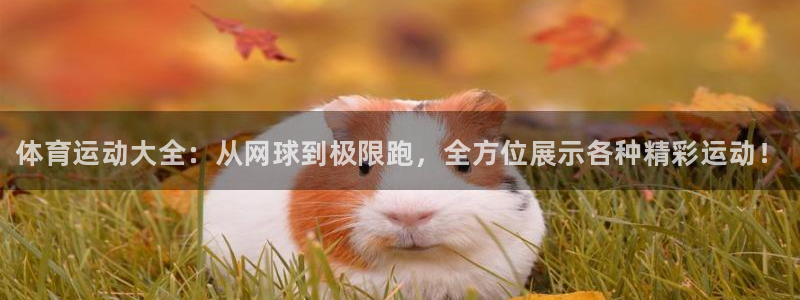 yy易游官网下载招商电话地址是多少：体育运动大全：从