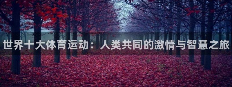 yy易游官方正版app新能源：世界十大体育运动：人类