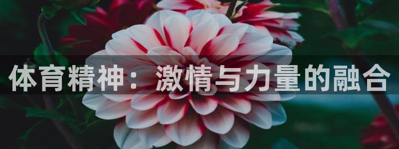 yy易游官网下载：体育精神：激情与力量的融合