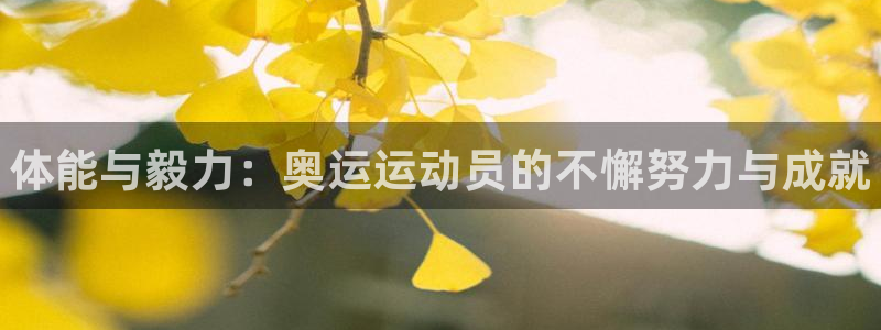 yy易游官方集团官网：体能与毅力：奥运运动员的不懈努