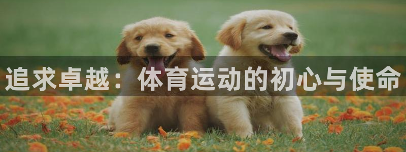 yy易游官方正版app官网：追求卓越：体育运动的初心