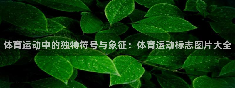 yy易游官网下载娱乐：体育运动中的独特符号与象征：体育运动标