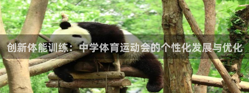 yy易游官网下载软件