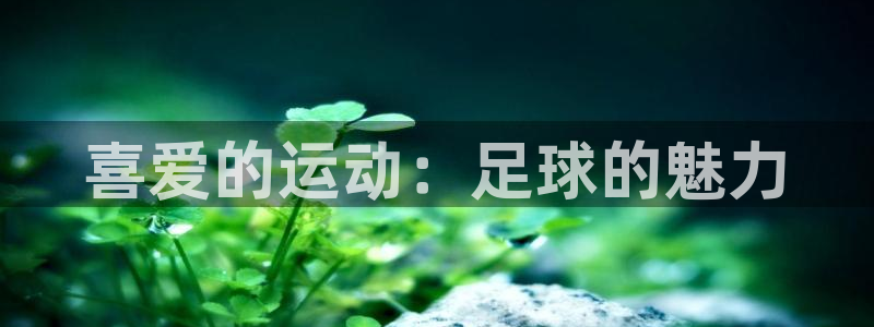 yy易游官网下载招商电话是多少：喜爱的运动：足球的魅
