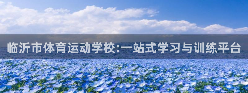 yy易游官网下载招商电话地址是多少：临沂市体育运动学校:一站