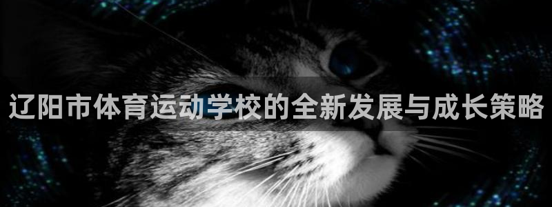 yy易游官方正版app新能源：辽阳市体育运动学校的全