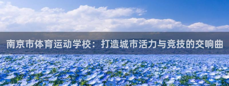 yy易游官网下载平台是正规平台吗知乎：南京市体育运动