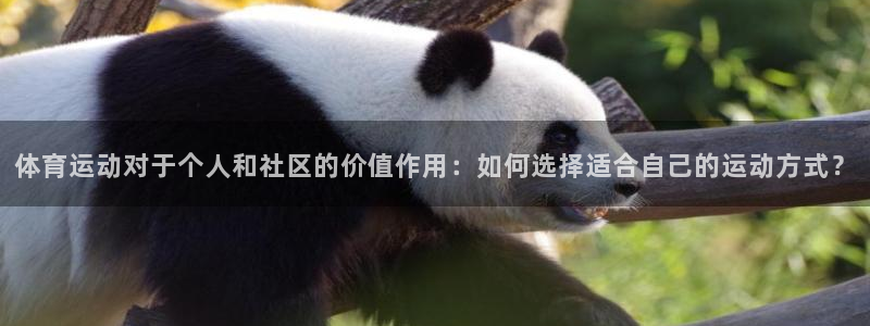 yy易游官方正版app娱乐代理怎么样：体育运动对于个人和社区
