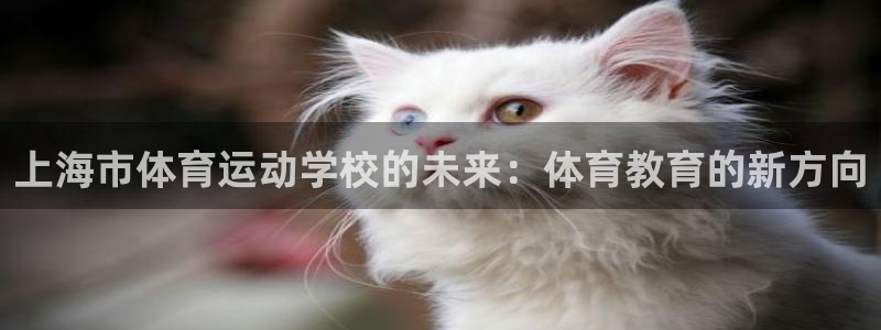 海南yy易游官网下载发展怎么样：上海市体育运动学校的未来：体