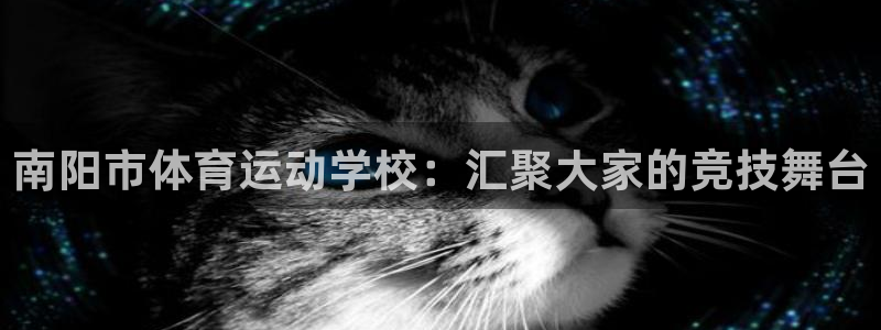 海南yy易游官网下载：南阳市体育运动学校：汇聚大家的竞技舞台