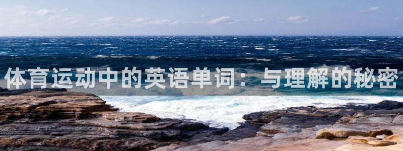 德国yy易游官方正版app集团：体育运动中的英语单词：与理解