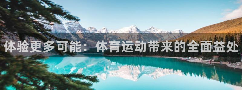 yy易游官网下载平台假的吗是真的吗吗：体验更多可能：体育运动