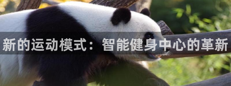 yy易游官方正版app娱乐代理怎么样