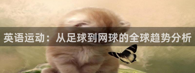 注册yy易游官方正版app：英语运动：从足球到网球的