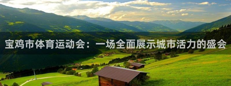 yy易游官方正版app集团：宝鸡市体育运动会：一场全面展示城