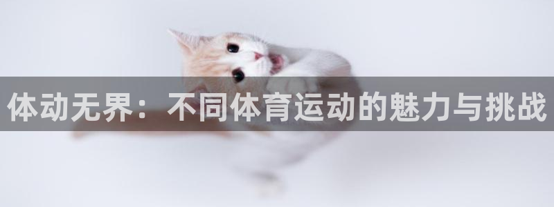 yy易游官方正版app集团官网首页网址：体动无界：不